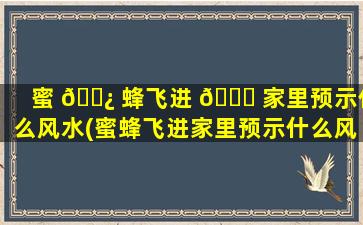 蜜 🌿 蜂飞进 🐝 家里预示什么风水(蜜蜂飞进家里预示什么风水问题)